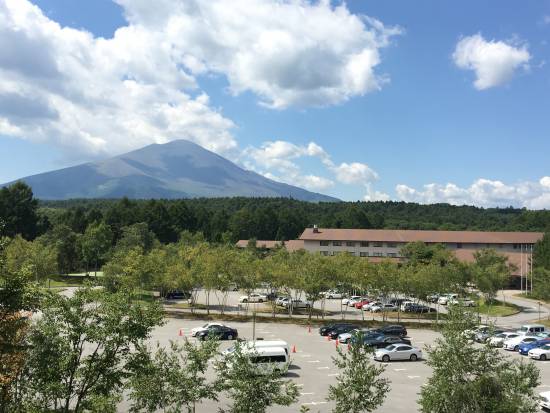 ★森の遊歩道