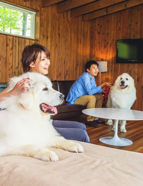 愛犬と過ごす