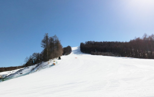 ベリーコースのゲレンデ風景