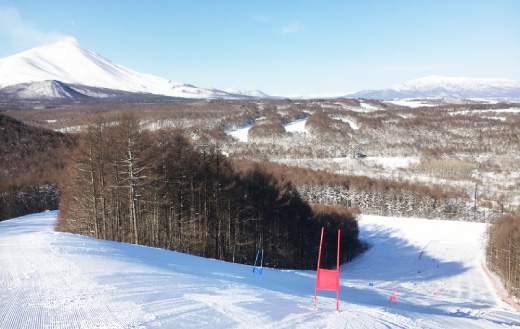 キャベツコースのゲレンデ風景