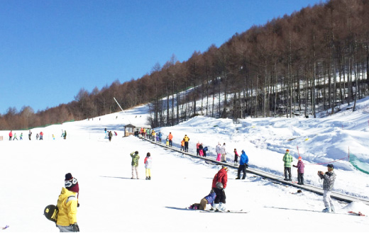 スノーエスカレーターの利用風景