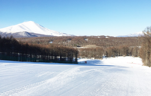 ファミリーコースのゲレンデ風景